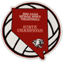 Large State Patch Overlaid upon a Volleyball created by Custom Chenille Patches