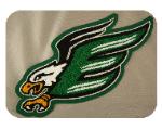 Custom Eagle patch with a letter E in the wing.  A very nice example of Custom Chenille Patches attention to detail and commitment to excellence.