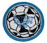 This is a wonderful modern soccer ball patch for the sleeve of your varsity letterman jacket.  Only here at custom chenille patches.com